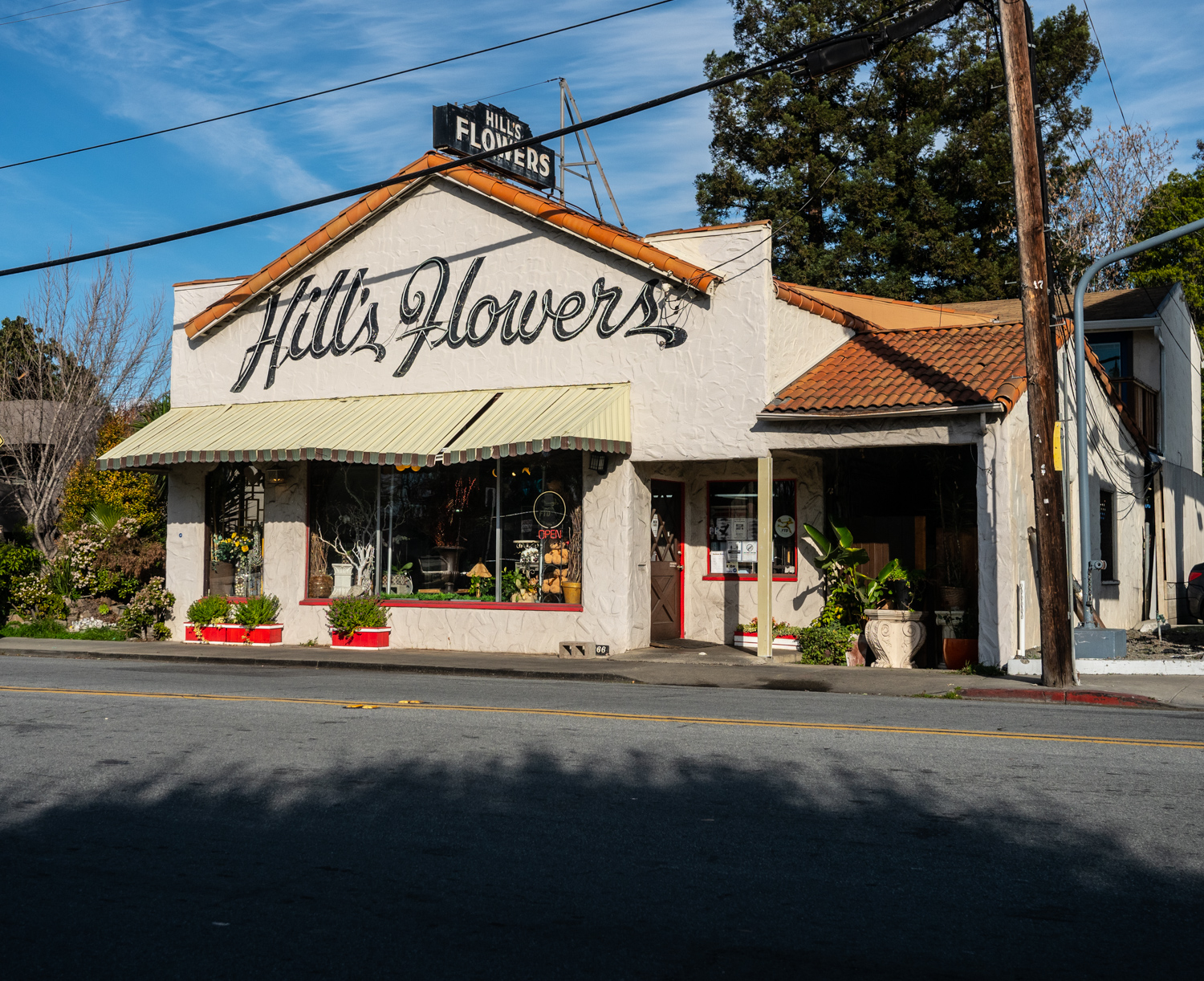 Race Street – san Jose