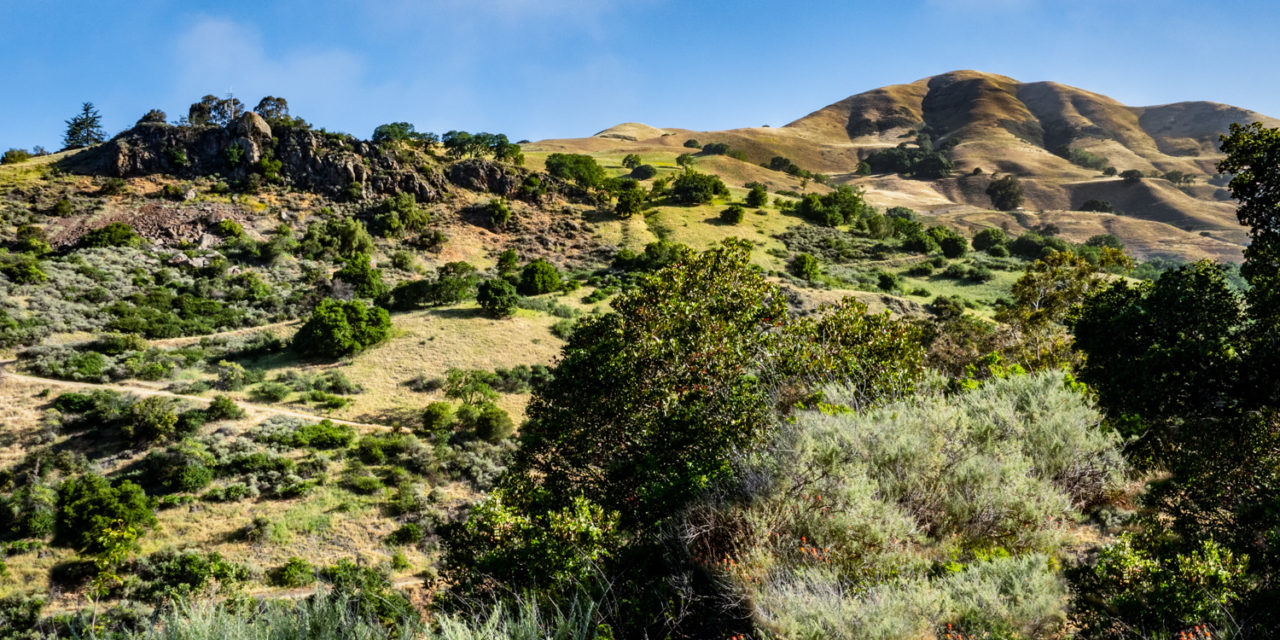 Alum Rock Park