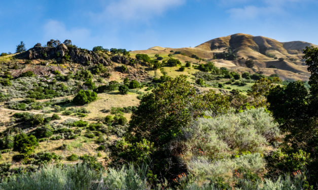 Alum Rock Park