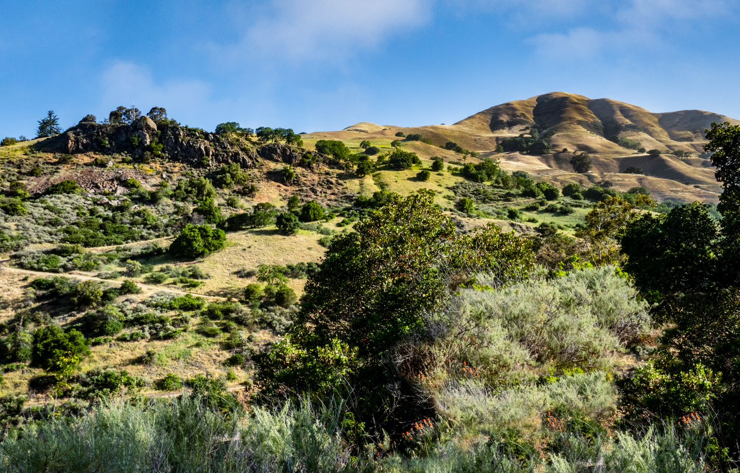 Alum Rock Park
