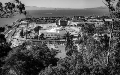 Treasure island redevelopment 2022