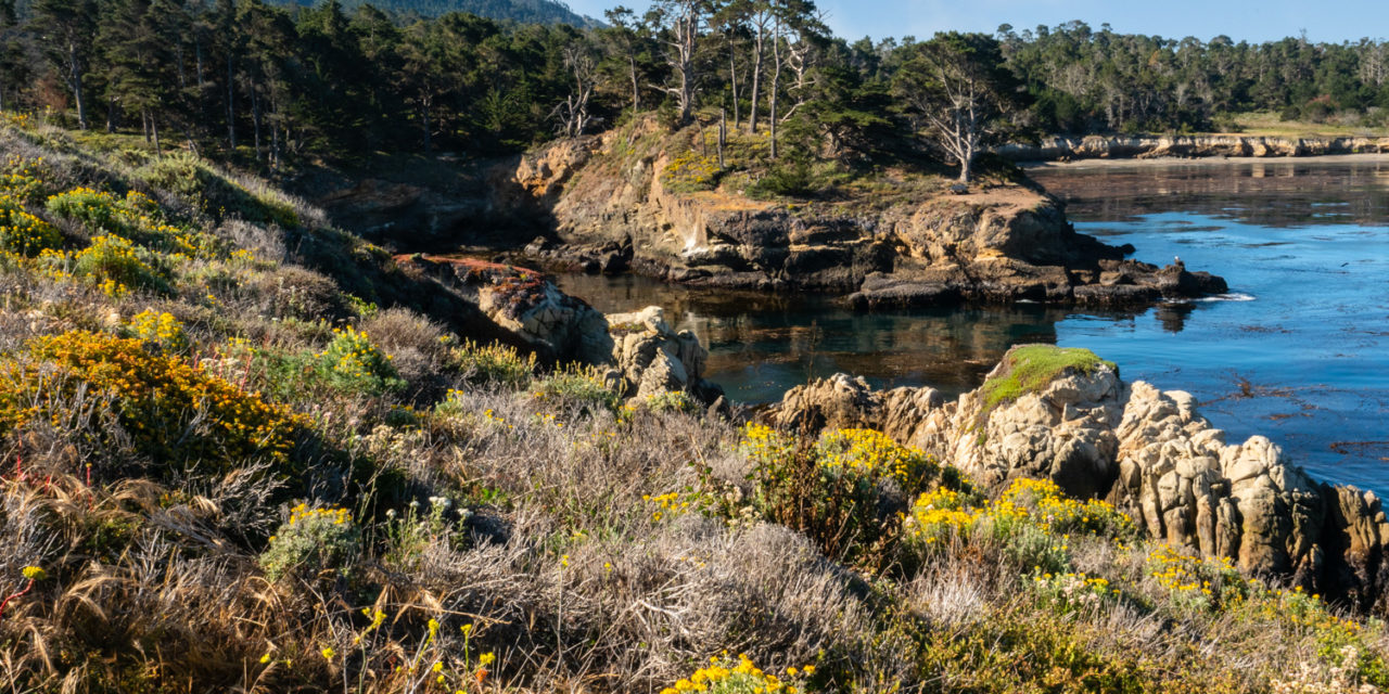 Point Lobos State Reserve