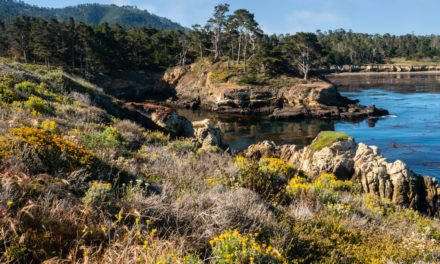 Point Lobos State Reserve