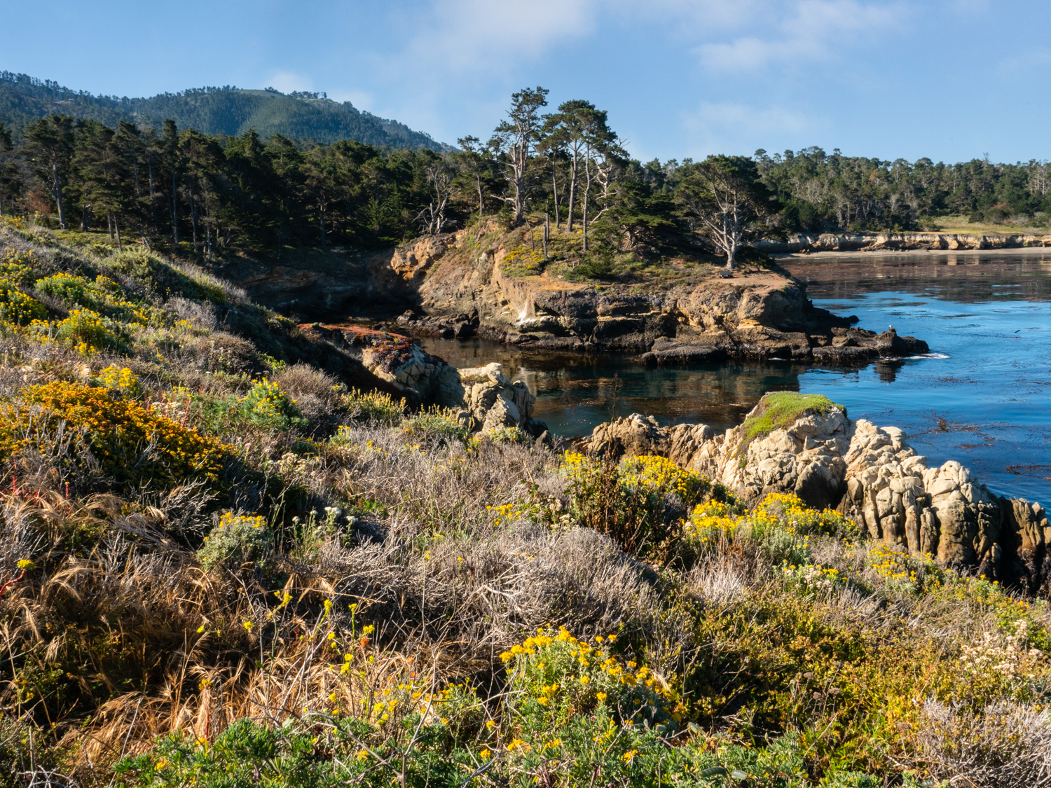 Point Lobos State Reserve