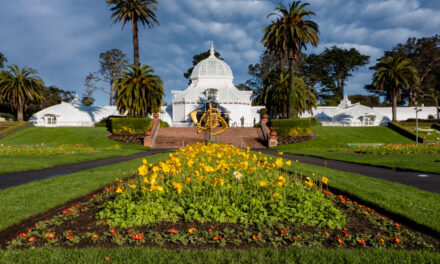 Golden Gate Park