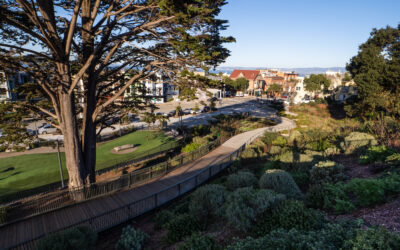 Francisco Park, San Francisco