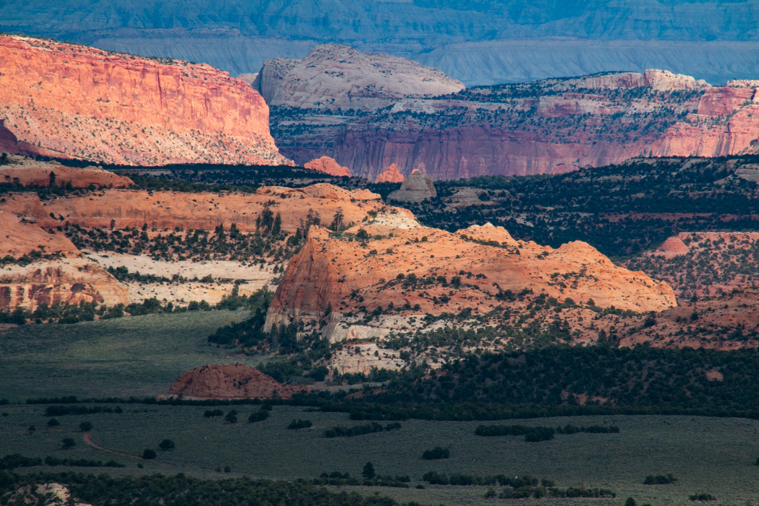 Capitol Reef National Park