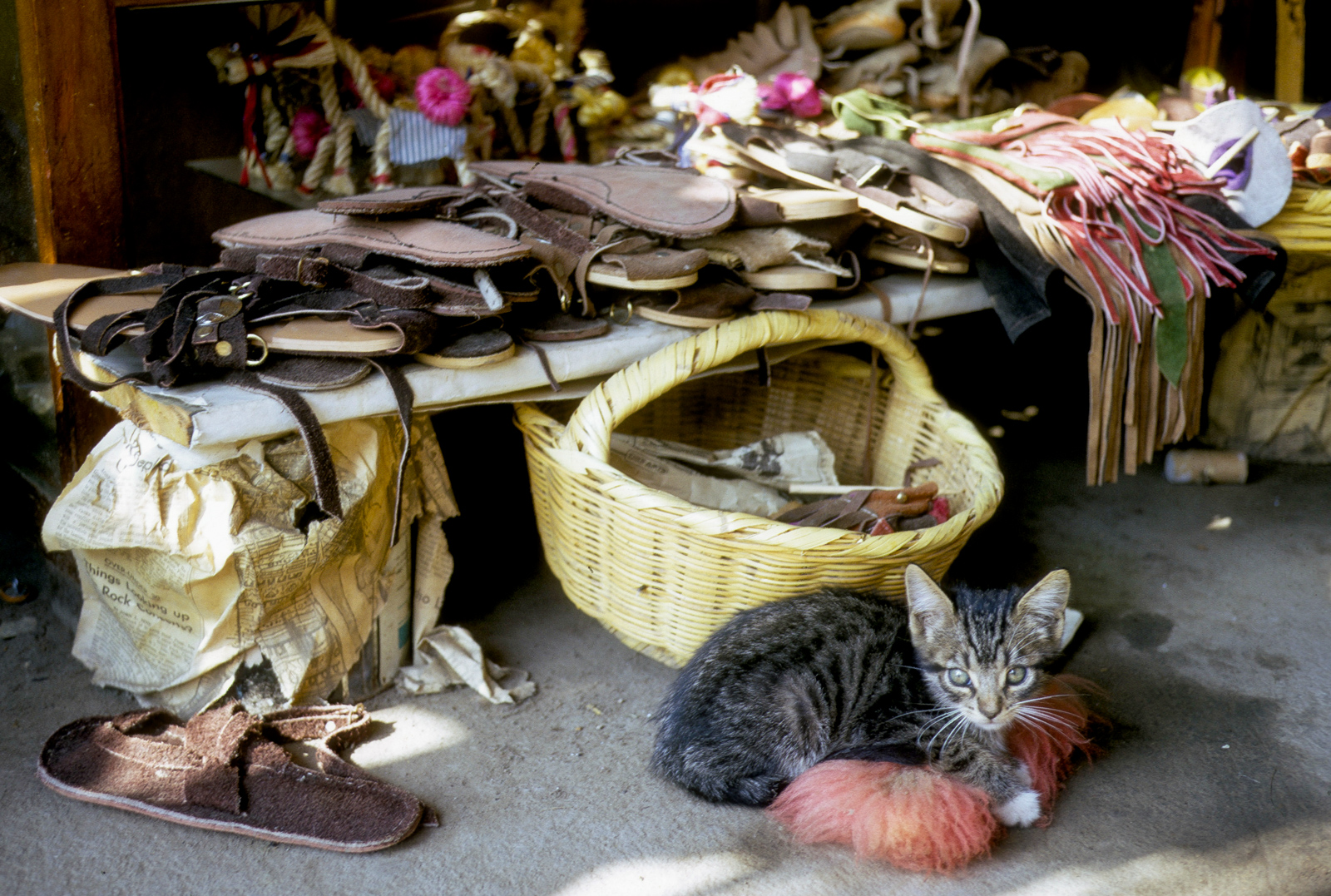 Aunty Joy’s travel photography