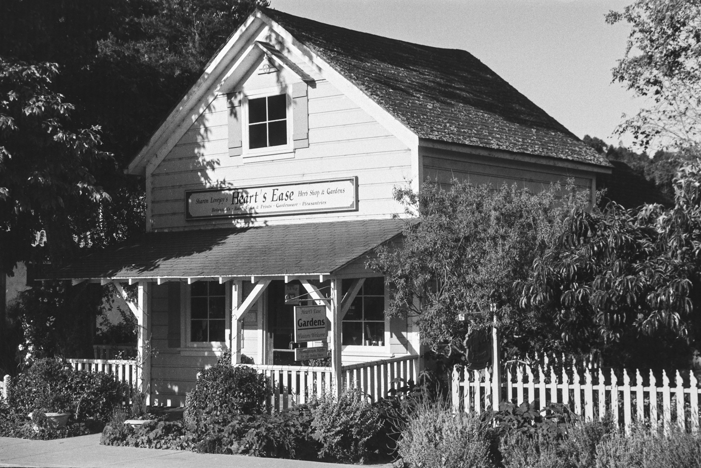 Cambria, CA