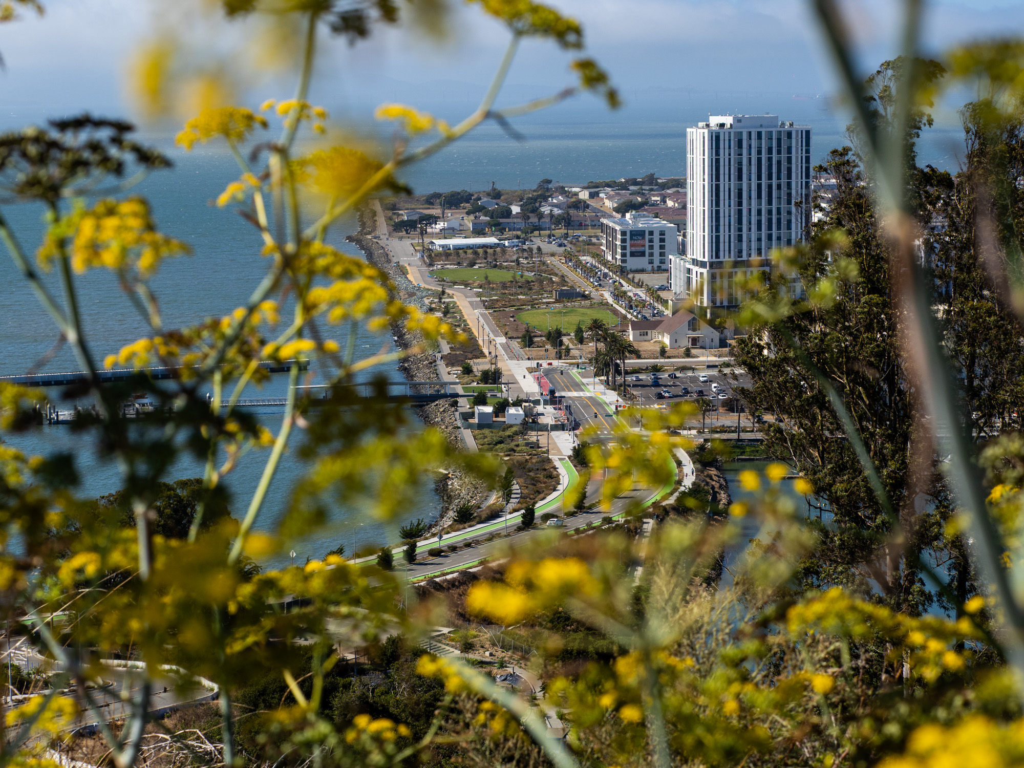 Cityside Park – Treasure Island