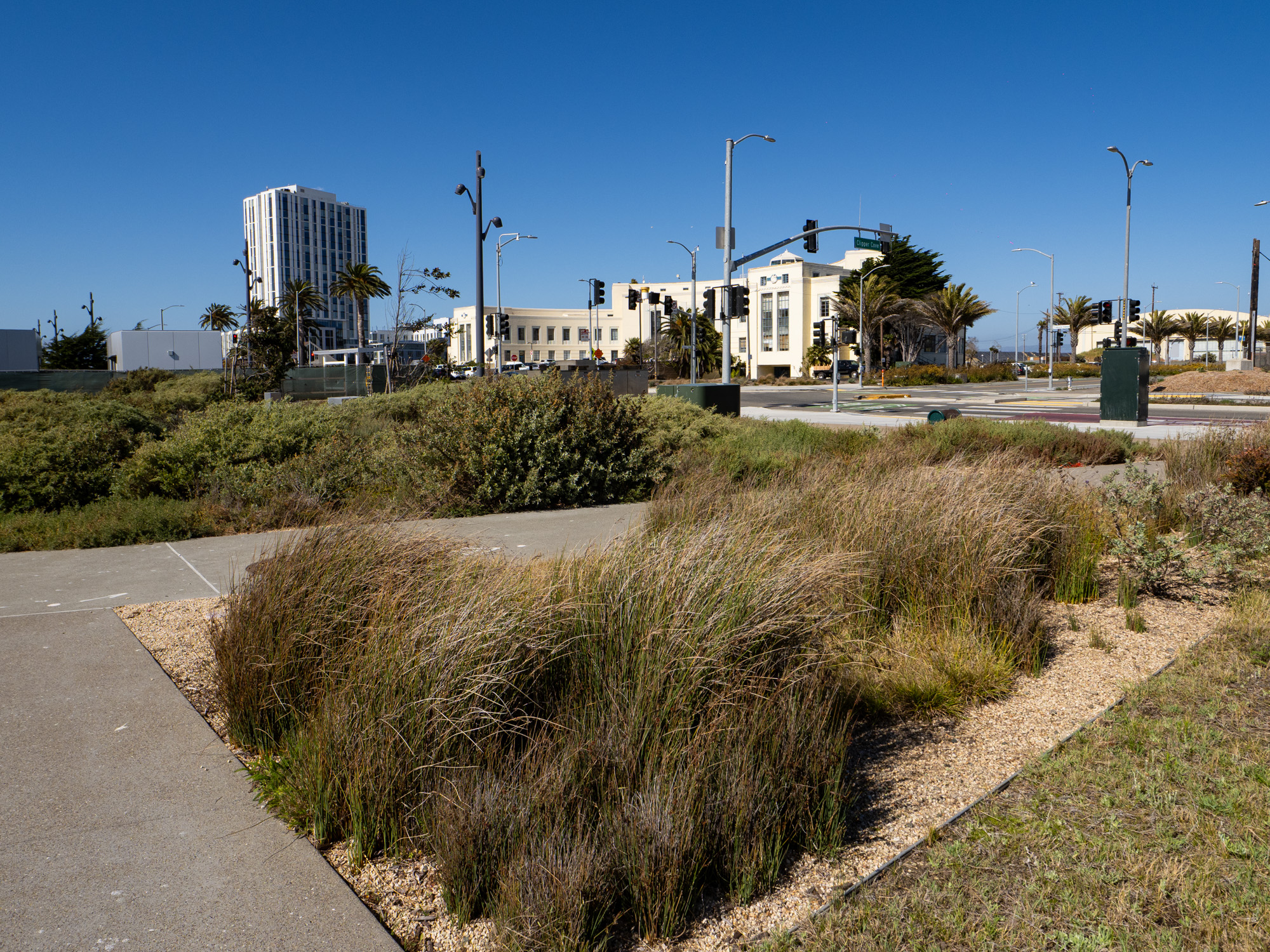 Yerba Buena Island & Treasure Island